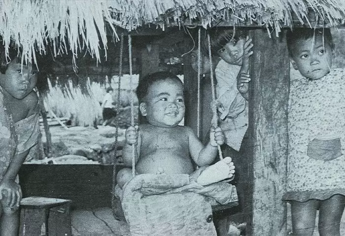 設立蘭嶼國小學生在校膳食供應中心